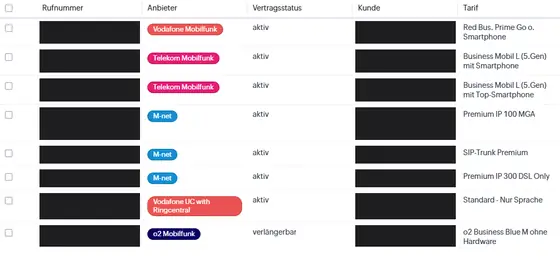Screenshot: zentrale Übersicht über Verträge, Rufnummern und Tarife